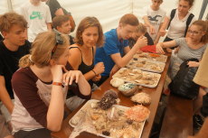 DSC01583.JPG