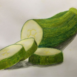 68. Tayra Said_7c_Zucchini Challange.JPG