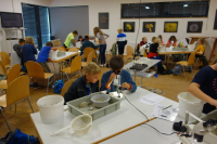 DSC03660.jpg
