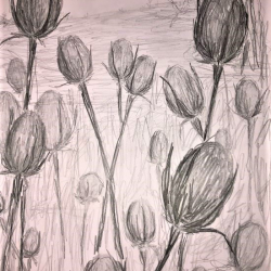 31. Laura Gaus_2__K2_Naturstudien.jpg