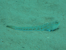 DSCN1823.JPG