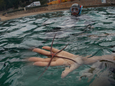 DSCN1819.JPG