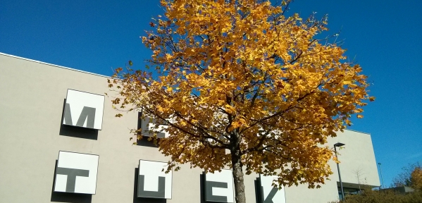 files/gym/news/2013/2013.10.24 Herbstferien.jpg